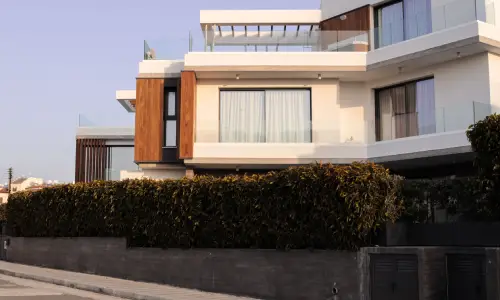 International Property Investment